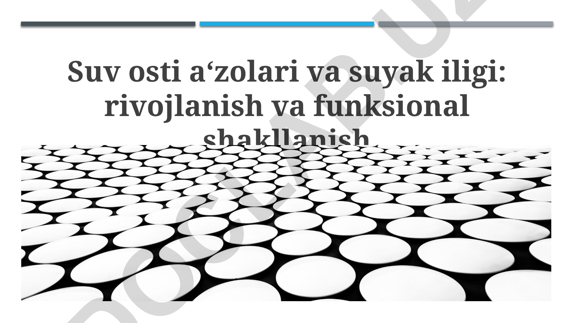 Suv osti a‘zolari va suyak iligi: rivojlanish va funksional shakllanish