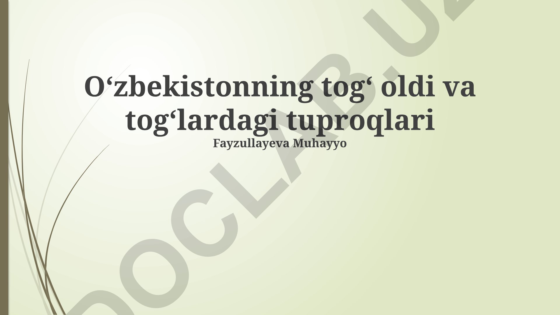 Oʻzbekistonning togʻ oldi va togʻlardagi tuproqlari