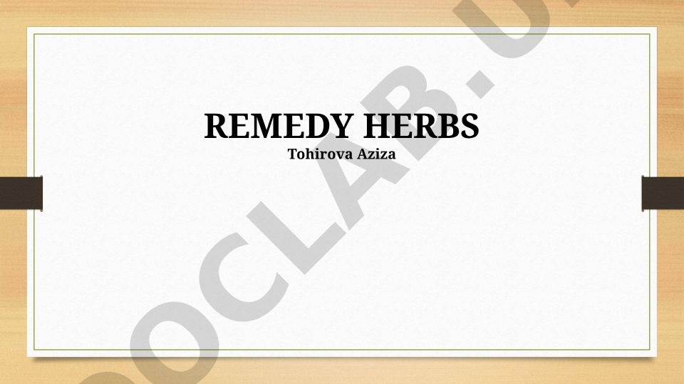 Remedy Herbs: History, Uses, and Future Perspectives