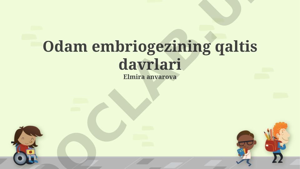 Odam embriogenezining qaltis davrlari va organ sistemalarining rivojlanishi