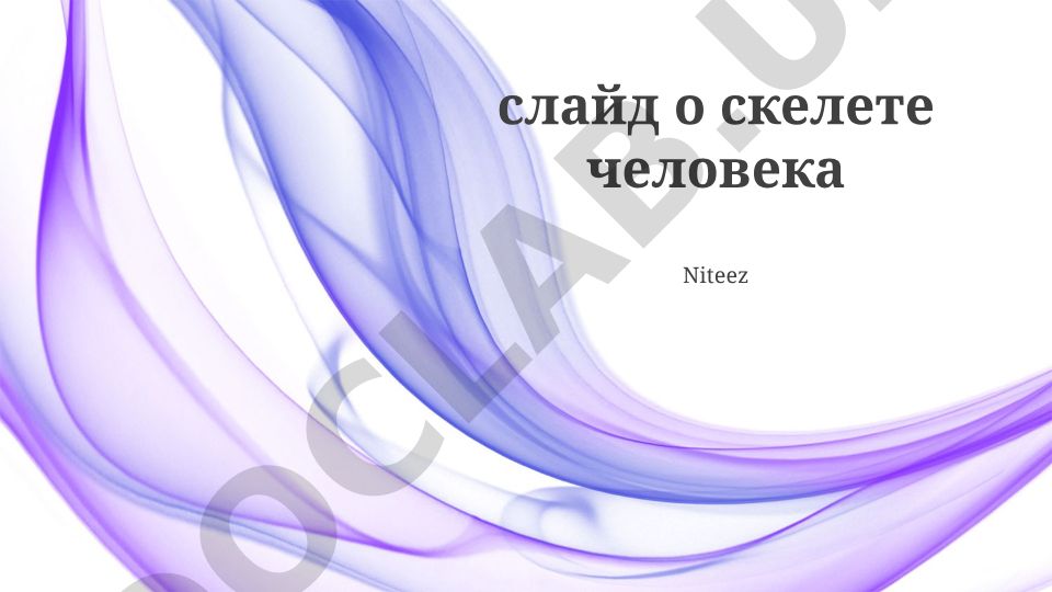 Человеческий скелет: кости, суставы и их функции