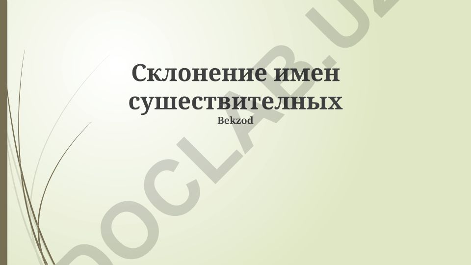 Склонение имен существительных в русском языке