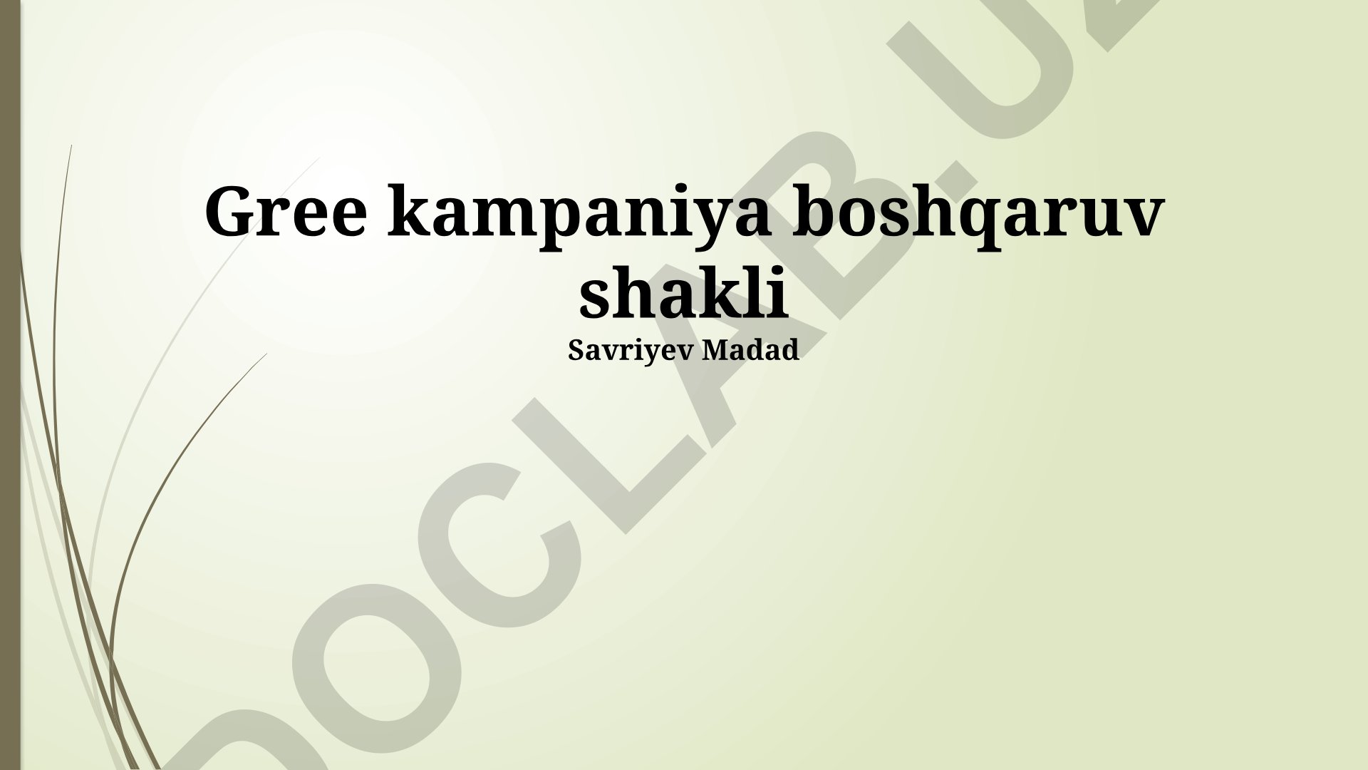 Gree kampaniya boshqaruv shakli va marketing strategiyalari