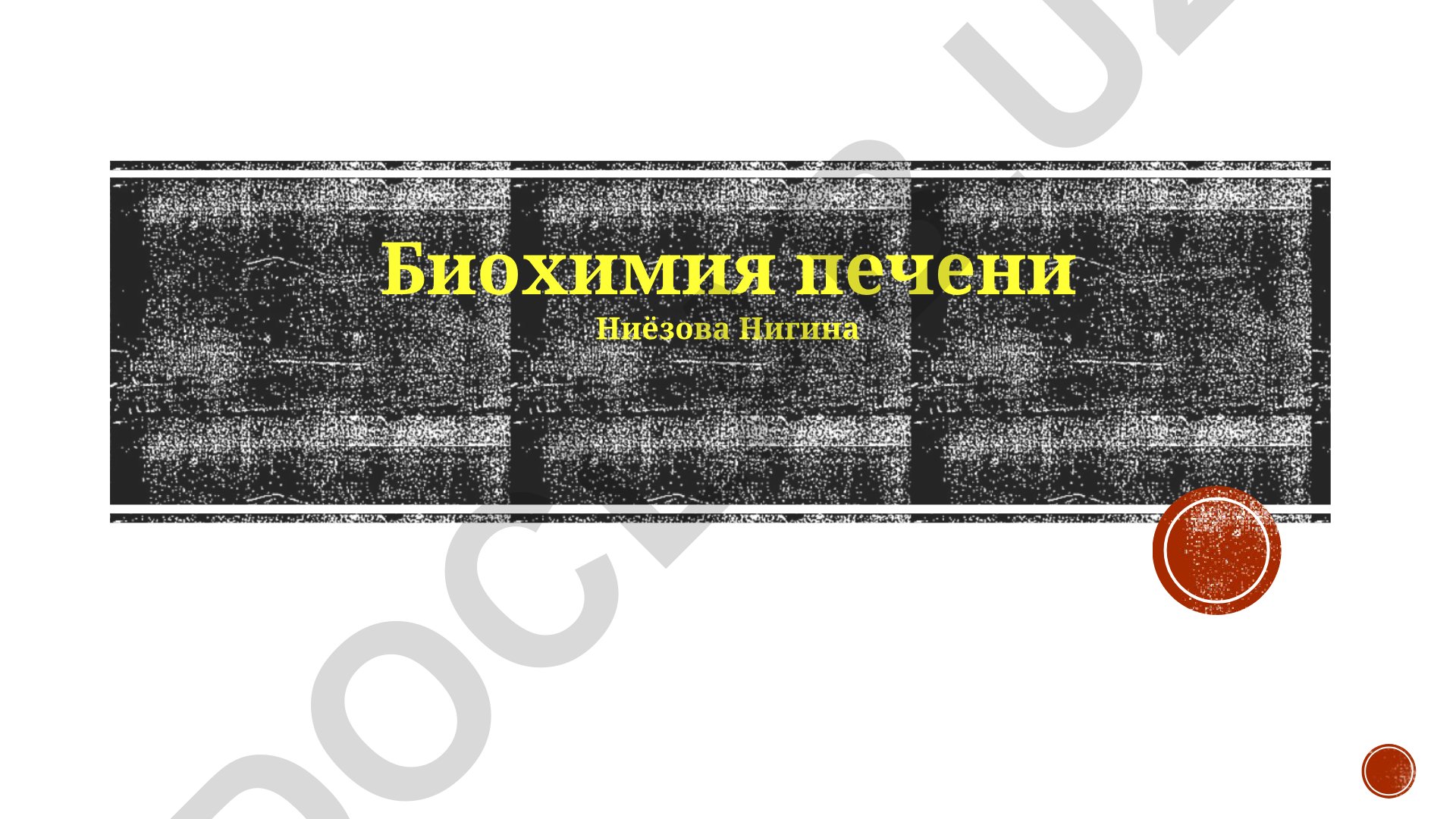 Биохимия печени: метаболизм, функции и ферменты