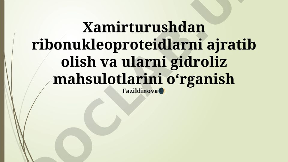 Xamirturushdan ribonukleoproteidlarni ajratib olish va gidroliz mahsulotlarini oʻrganish