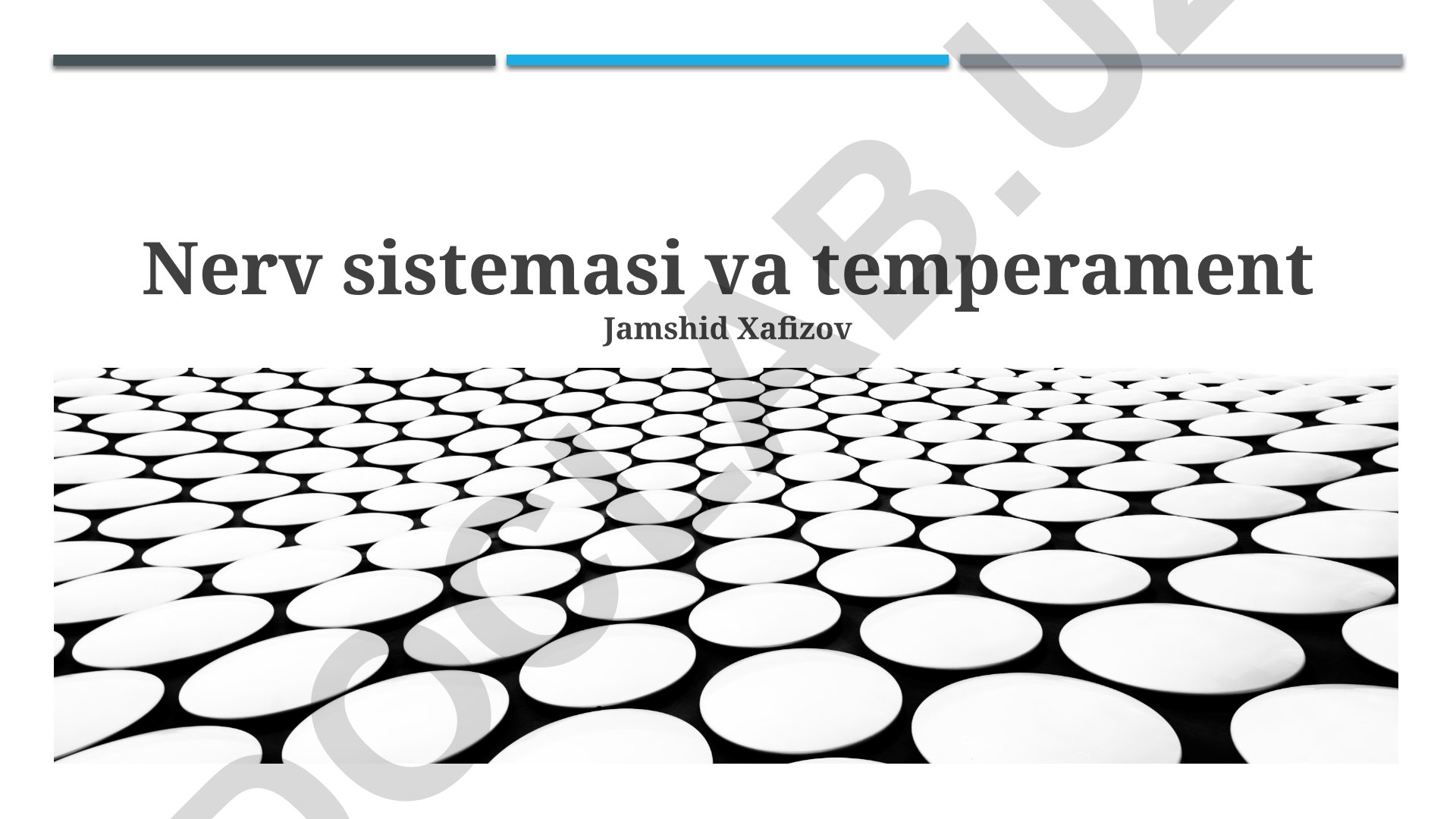 Nerv sistemasi va temperament