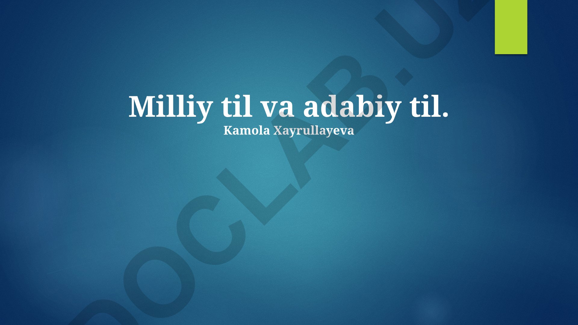 Davlat tili va adabiy tilning kelib chiqishi, o'zaro munosabati va rivojlanishi