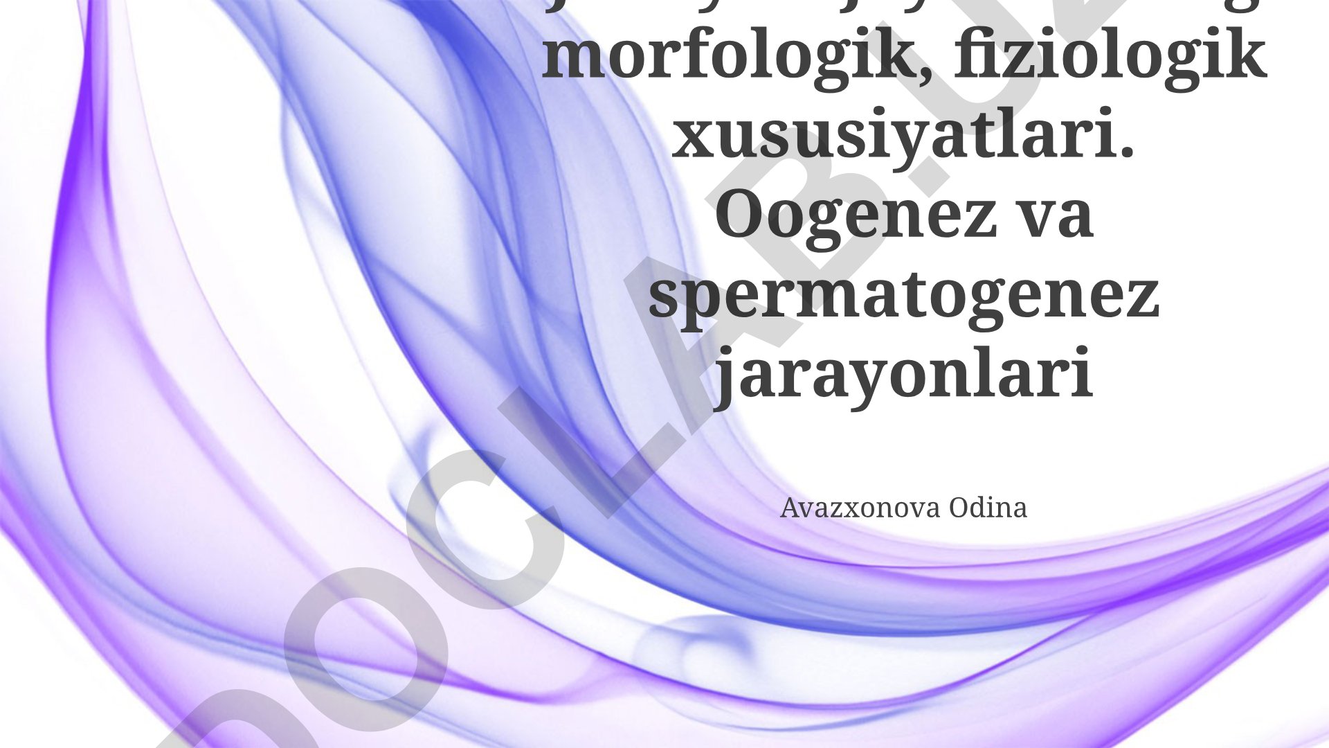 Jinsiy hujayralarning morfologik, fiziologik xususiyatlari va gametogenez jarayonlari
