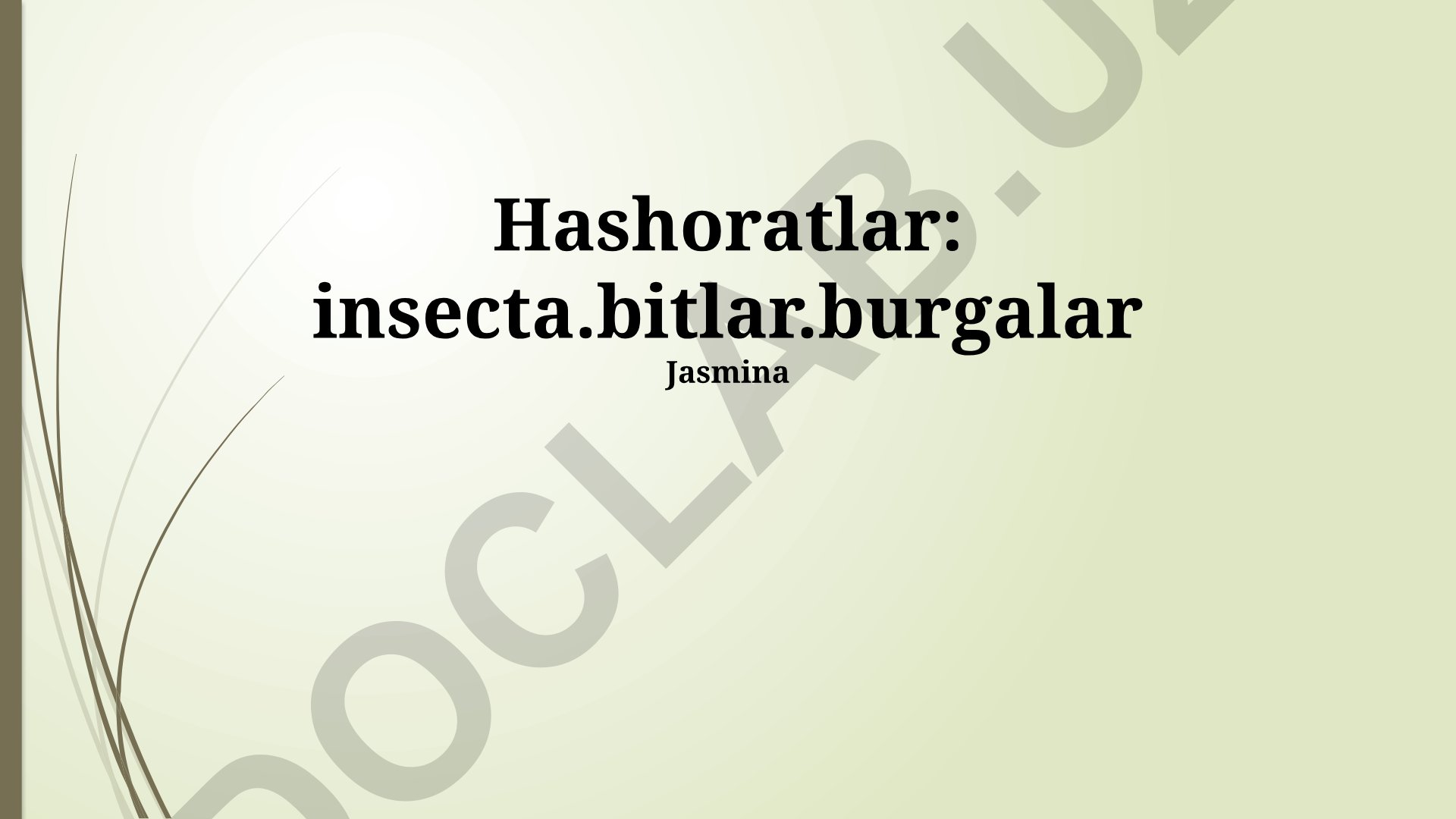 Hashoratlar: bitlar va burgalar haqida umumiy ma'lumot