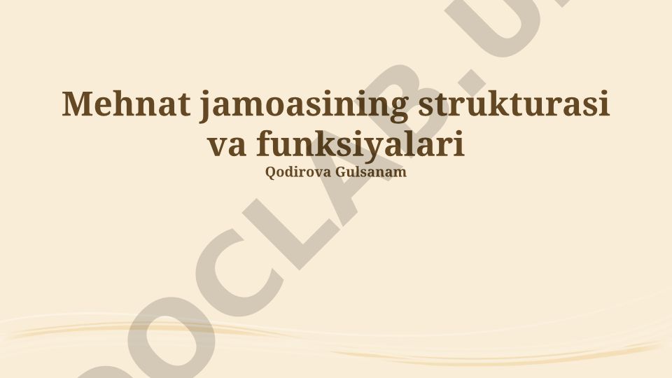 Mehnat jamoasining strukturasi va funksiyalari