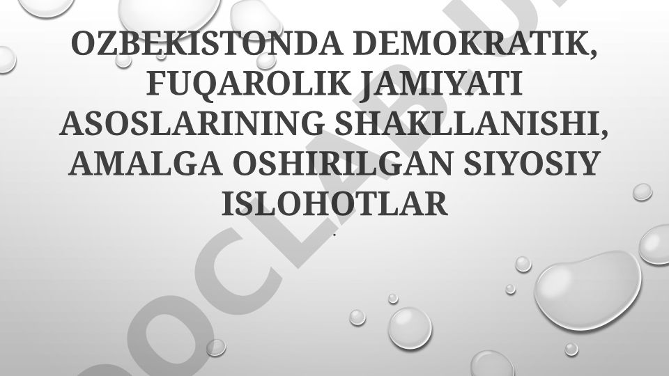 O'zbekistonda demokratik fuqarolik jamiyati asoslari va siyosiy islohotlar