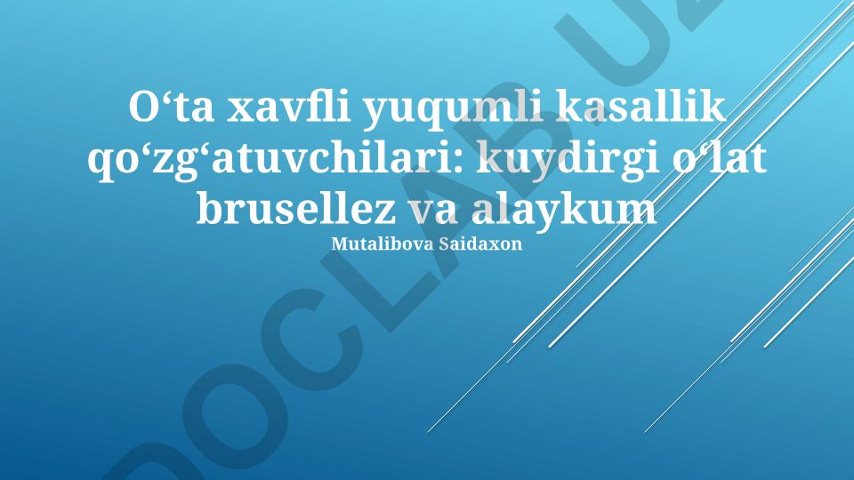 Oʻta xavfli yuqumli kasalliklar: vabo, brusellyoz va sibir yarasi