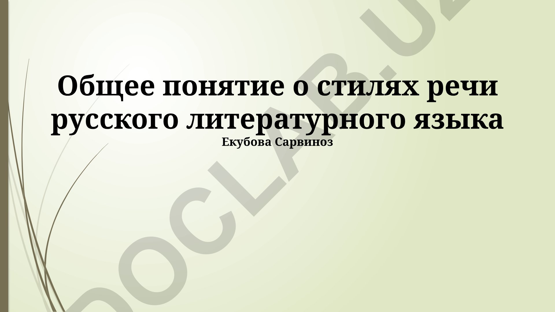 Общее понятие о стилях речи русского литературного языка