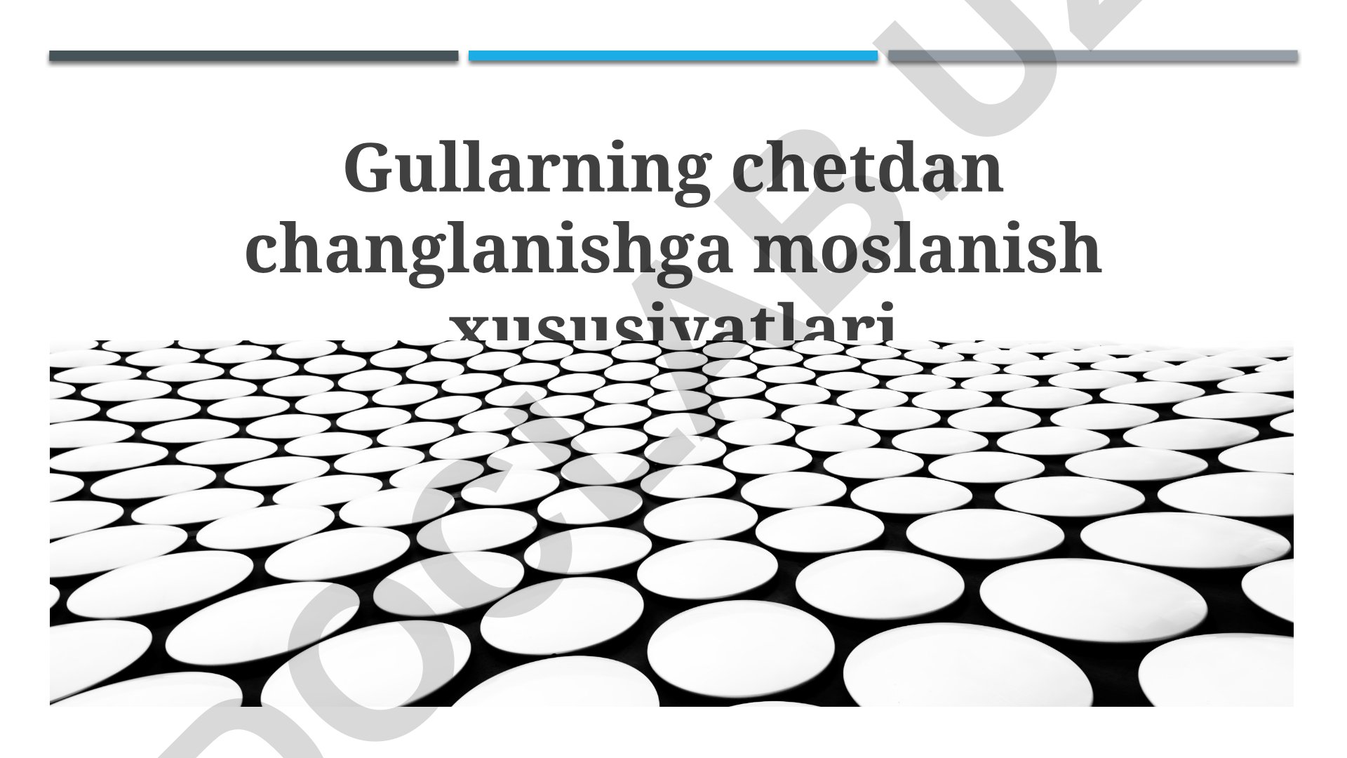 Qirgʻilarning chekka hududlarda oziq-ovqat topishga moslashish xususiyatlari
