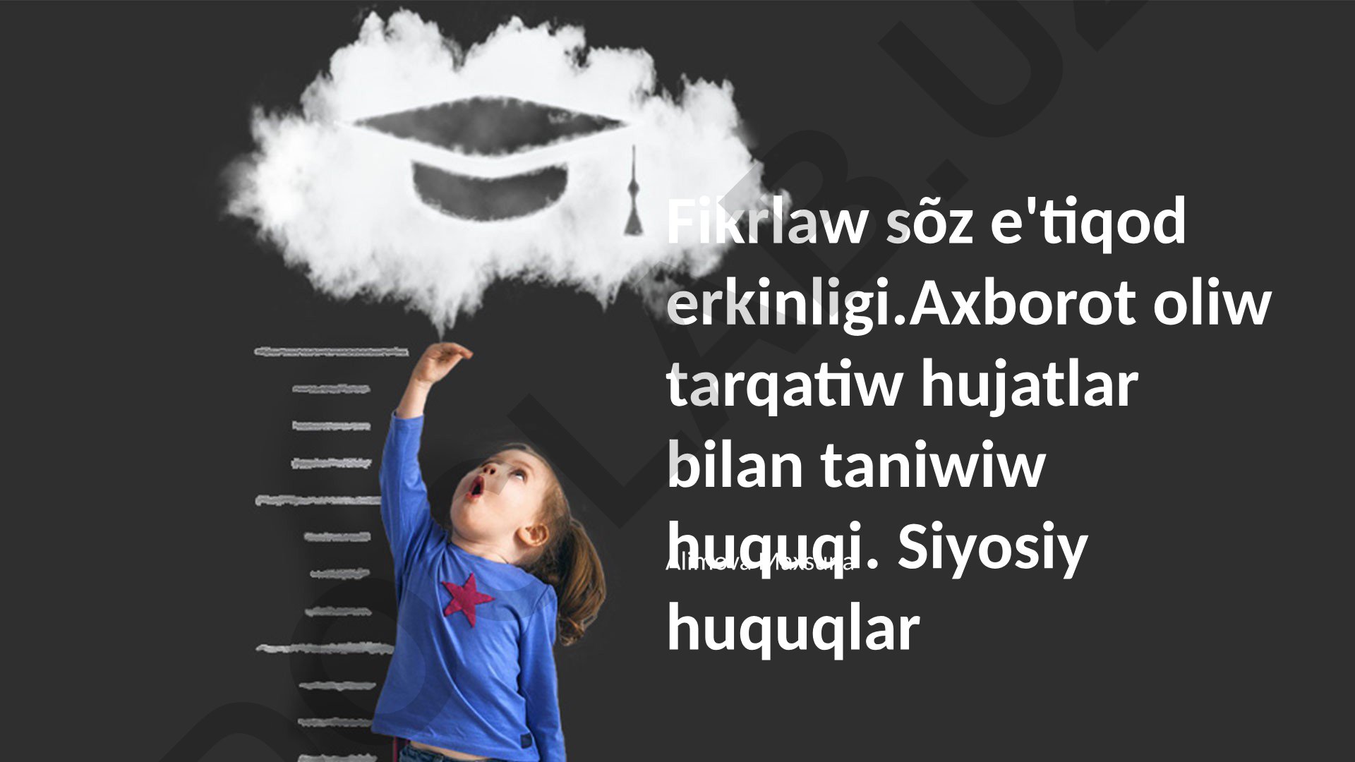Fikr, soʻz va e'tiqod erkinligi, axborot huquqlari va siyosiy huquqlar