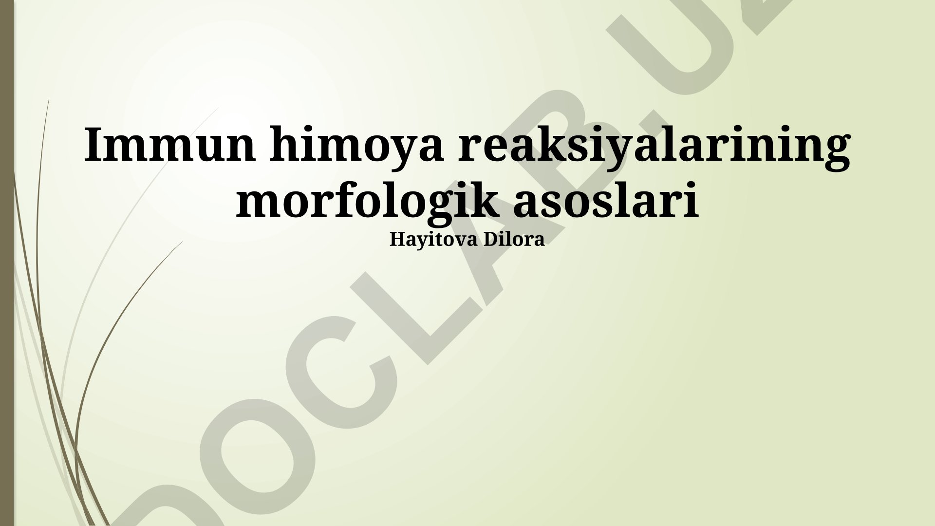 Immun himoya reaksiyalarining morfologik asoslari
