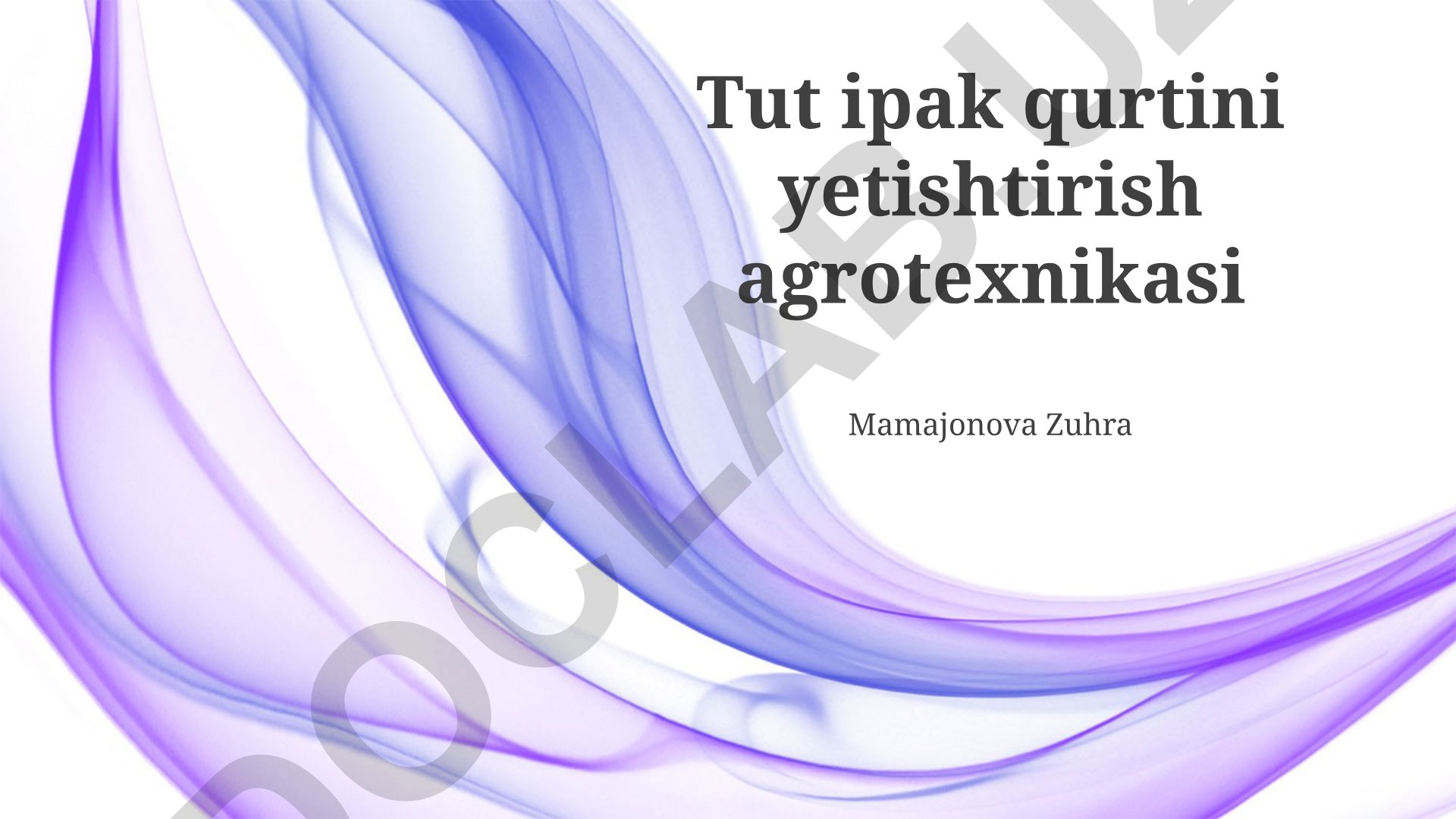 Tut ipak qurtini yetishtirish agrotexnikasi