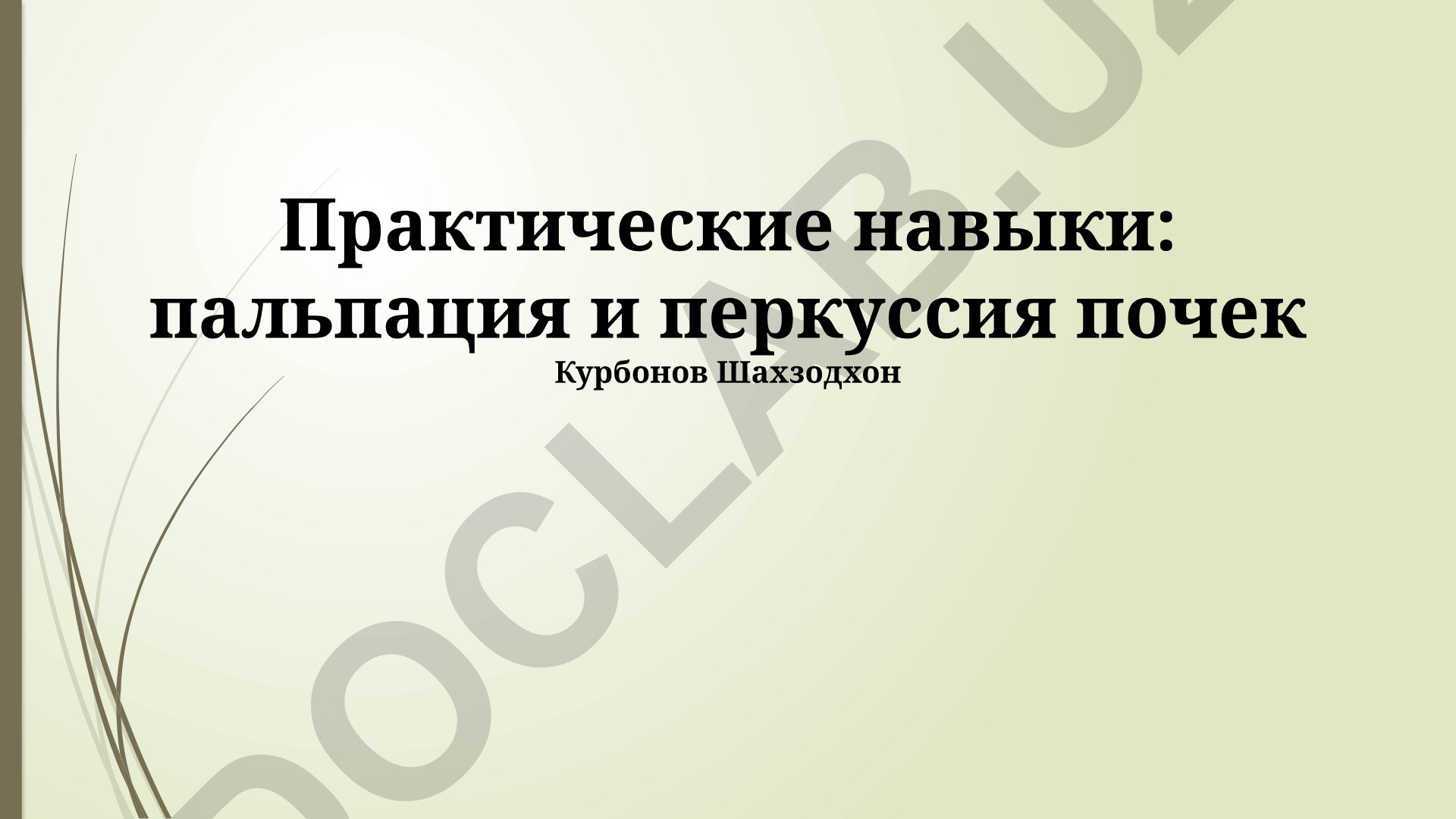 Практические навыки пальпации и перкуссии почек