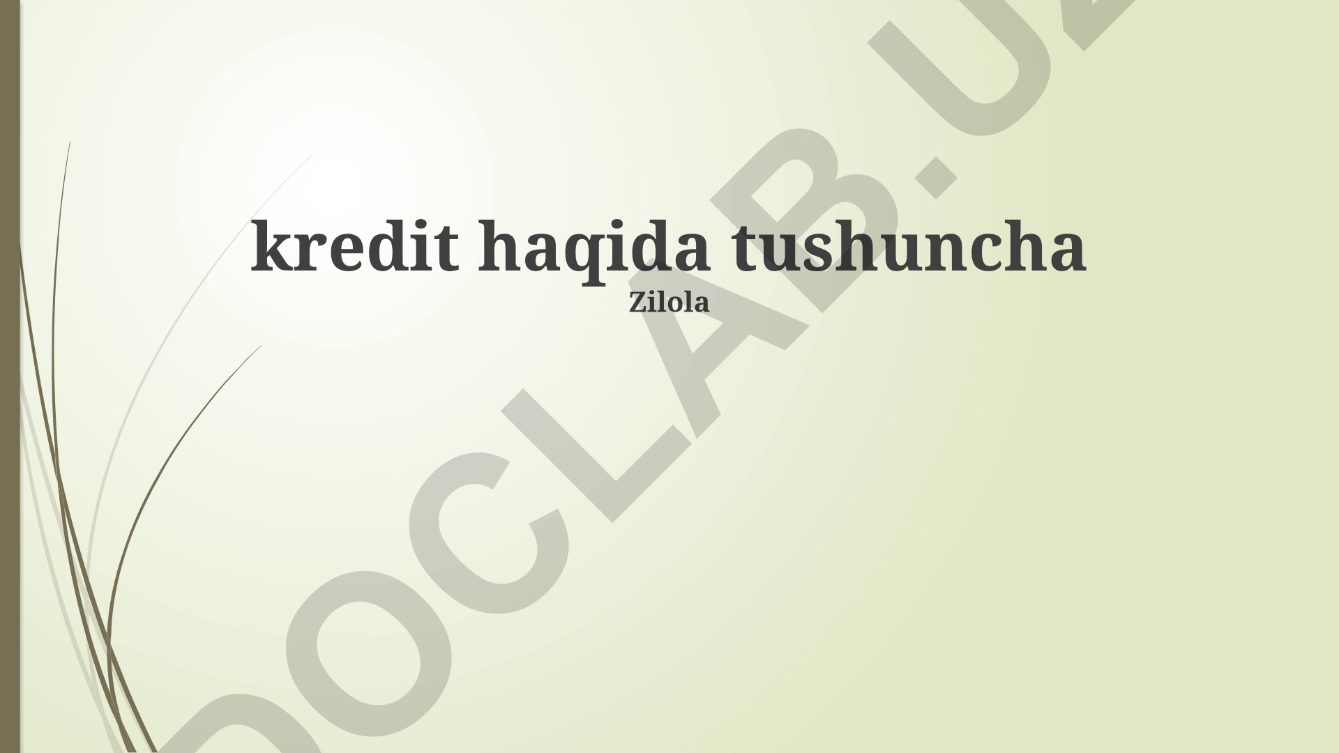 Kredit tushunchasi, turlari va risklari