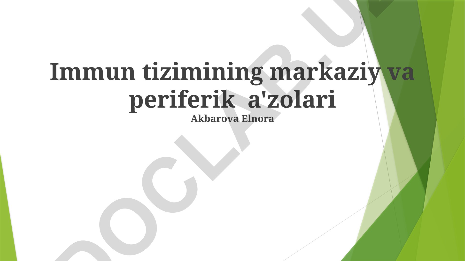 Immun tizimining markaziy va periferik a'zolari