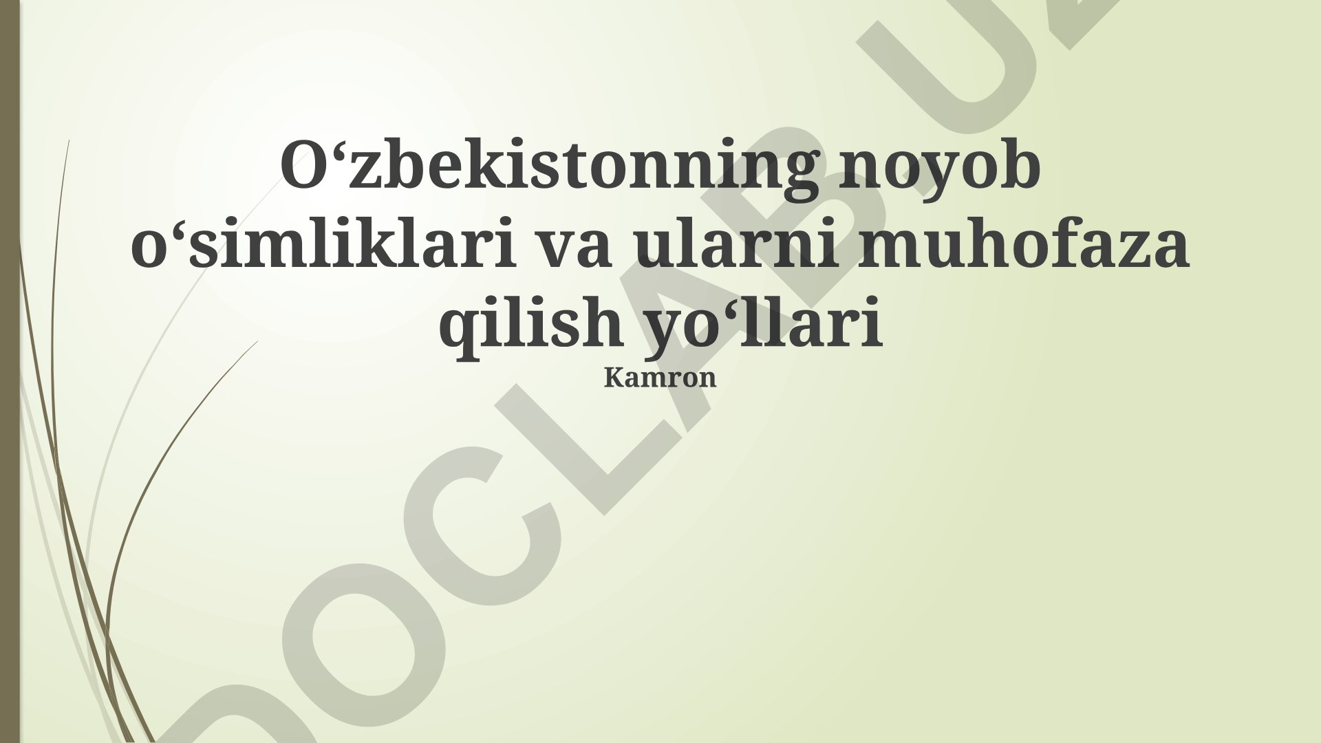 Oʻzbekistonning noyob oʻsimliklari va ularni muhofaza qilish yoʻllari