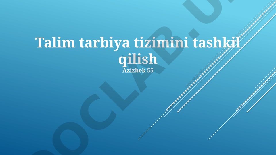 Ta'lim tizimini tashkil qilish va isloh qilish strategiyalari