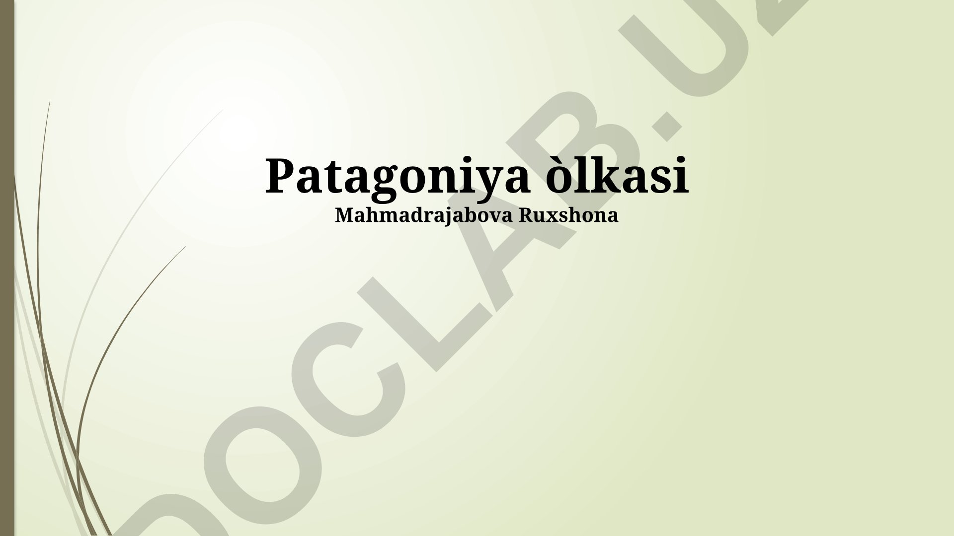 Patagoniya mintaqasining geografiyasi, tabiiy boyliklari va tarixi