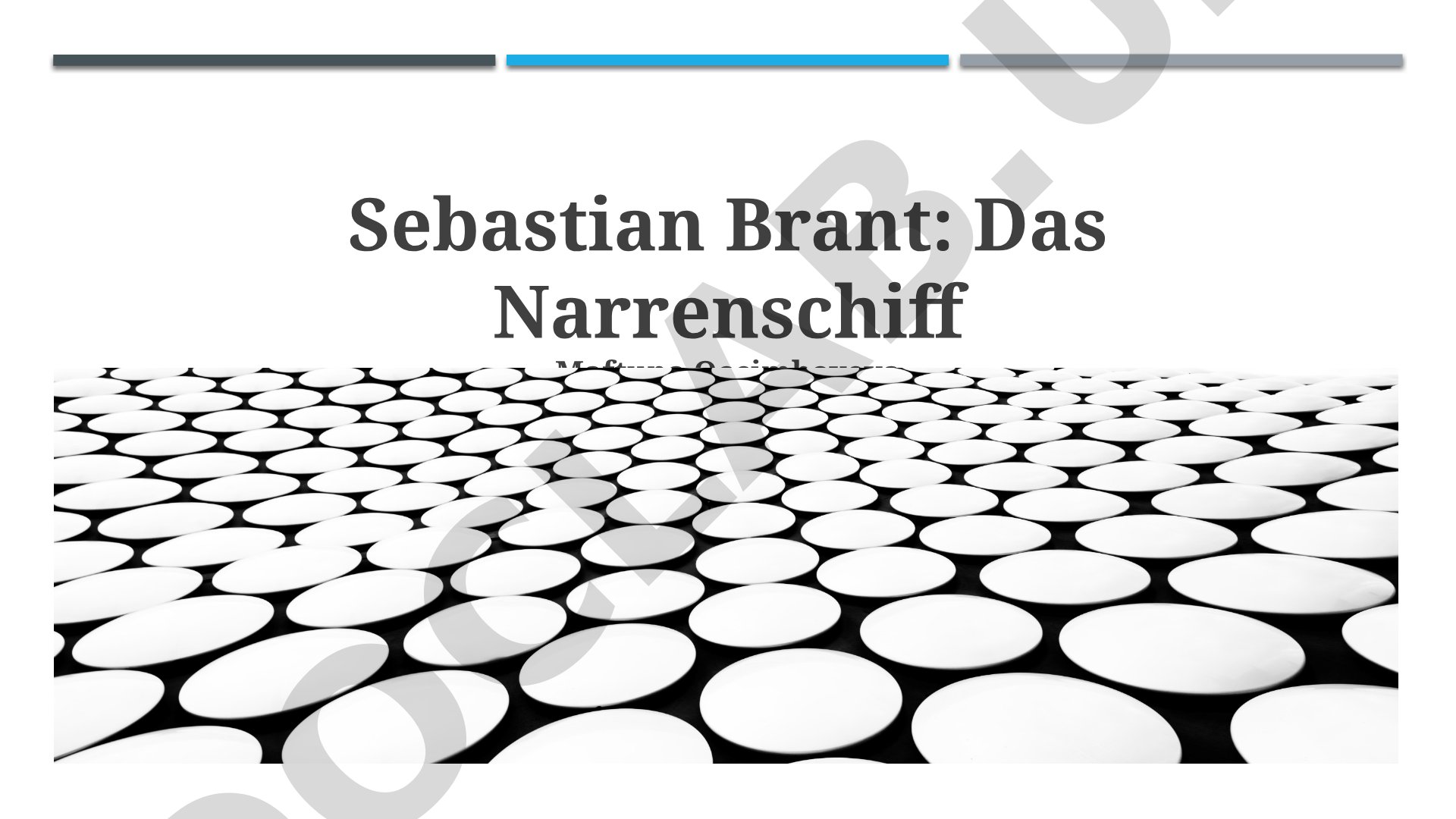 Sebastian Brant: Das Narrenschiff