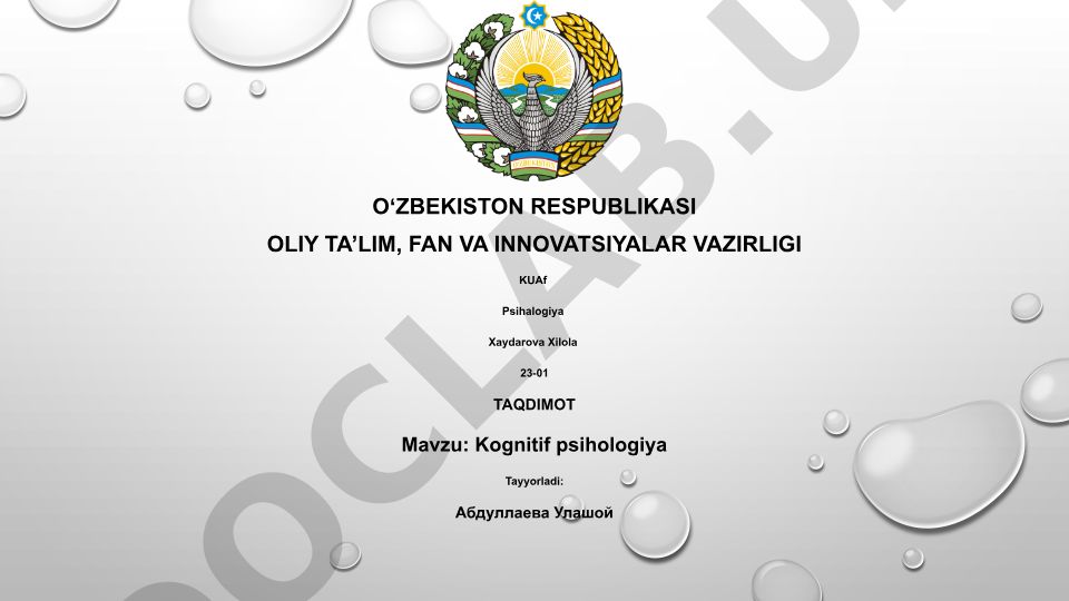 Kognitiv psihologiya