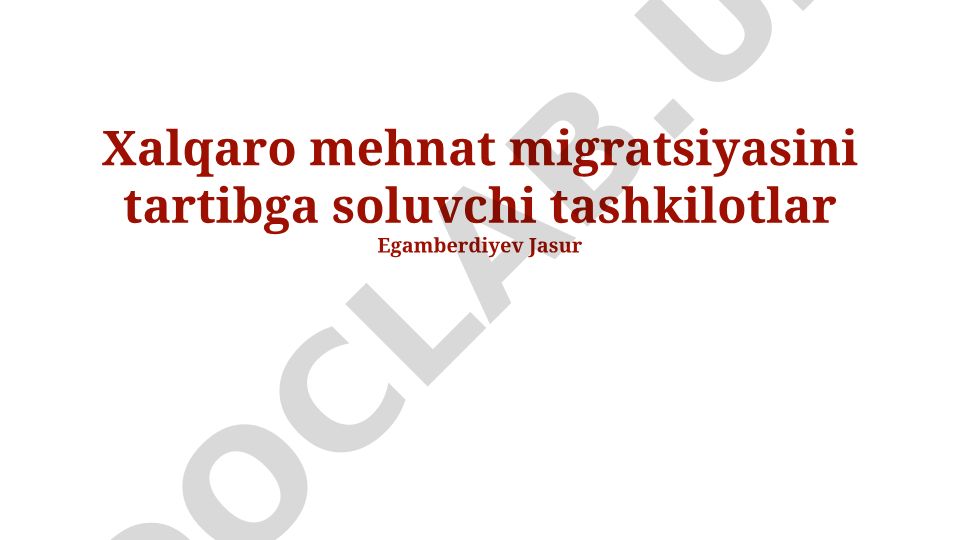Xalqaro mehnat migratsiyasini tartibga soluvchi tashkilotlar