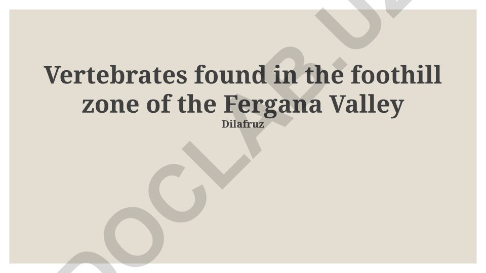 Vertebrates in the Fergana Valley Foothills