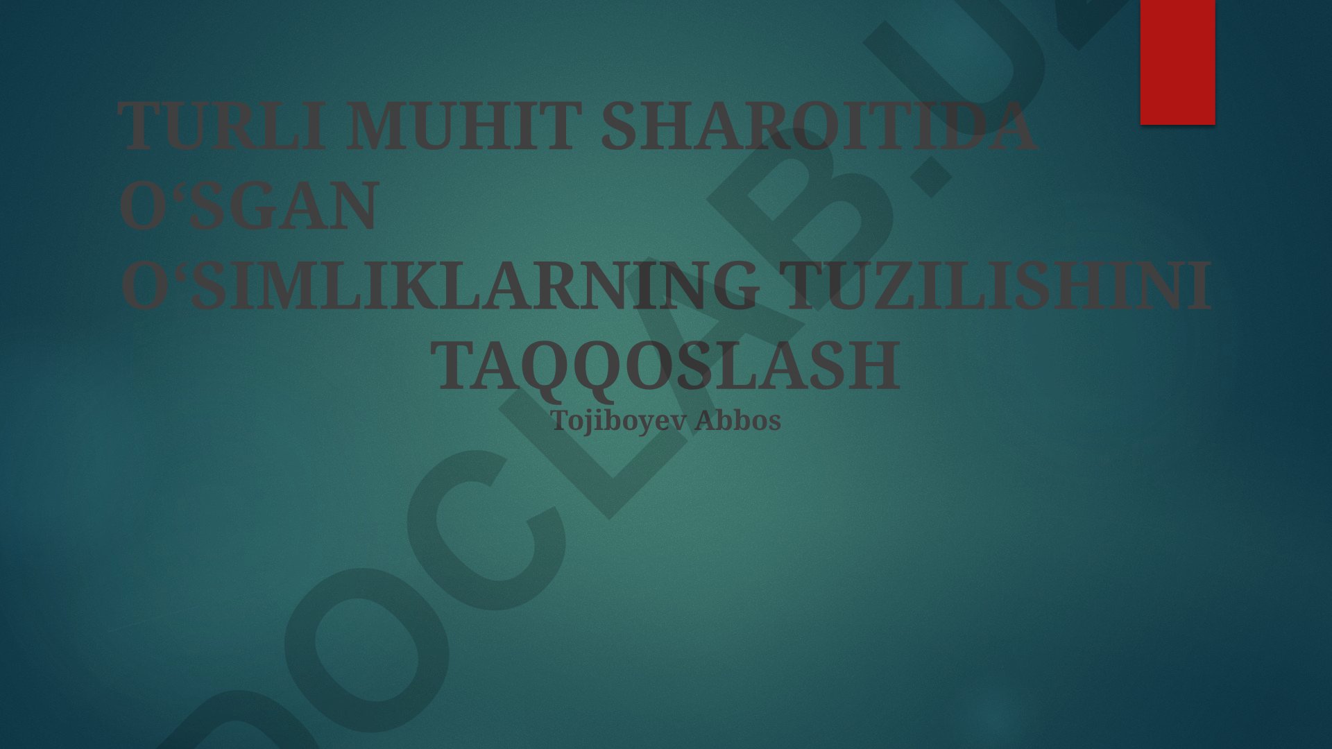 Turli muhit sharoitida o‘sgan o‘simliklarning tuzilishini taqqoslash