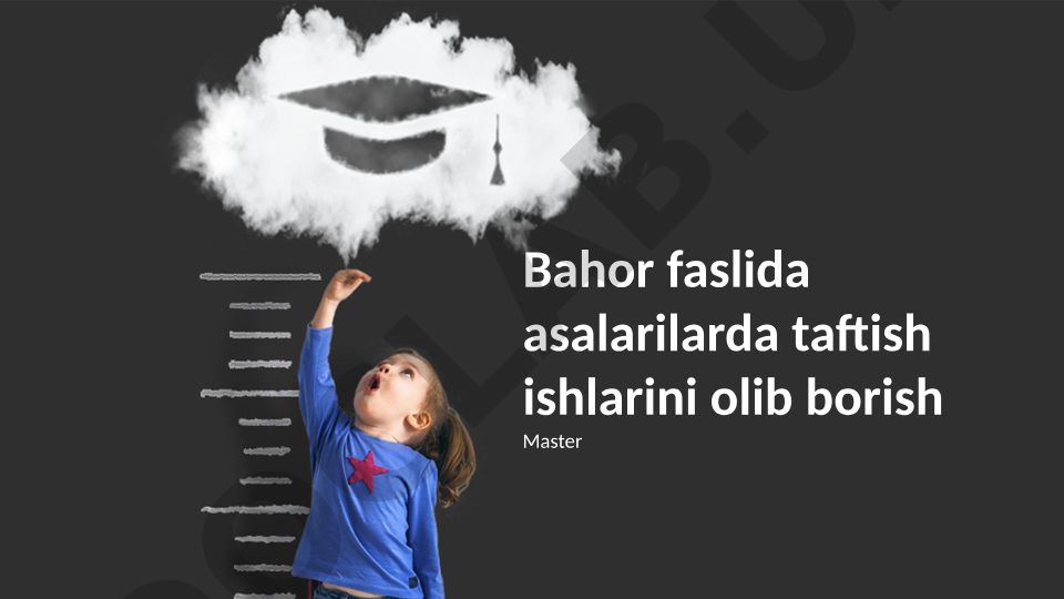Bahor faslida asalarilarda taftish ishlarini olib borish