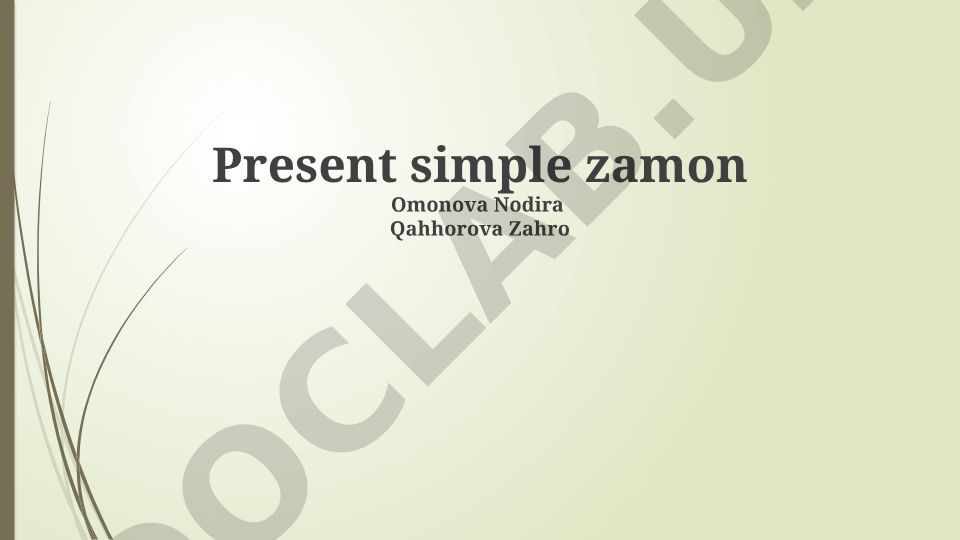 Present Simple: Form and Function