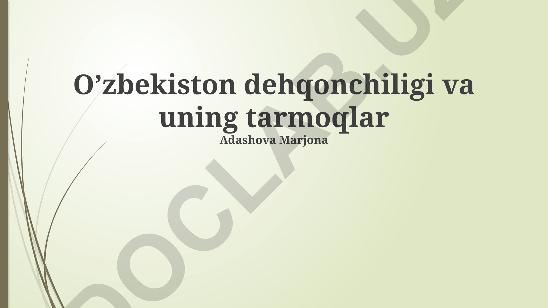 O'zbekiston dehqonchiligi va uning tarmoqlari
