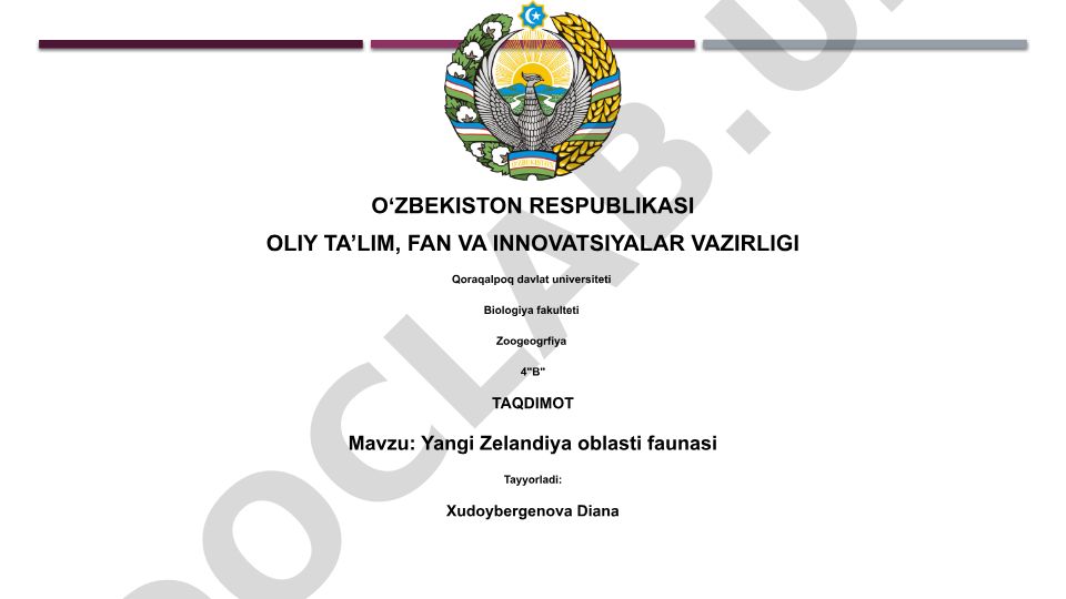 Yangi Zelandiya oblasti faunasi