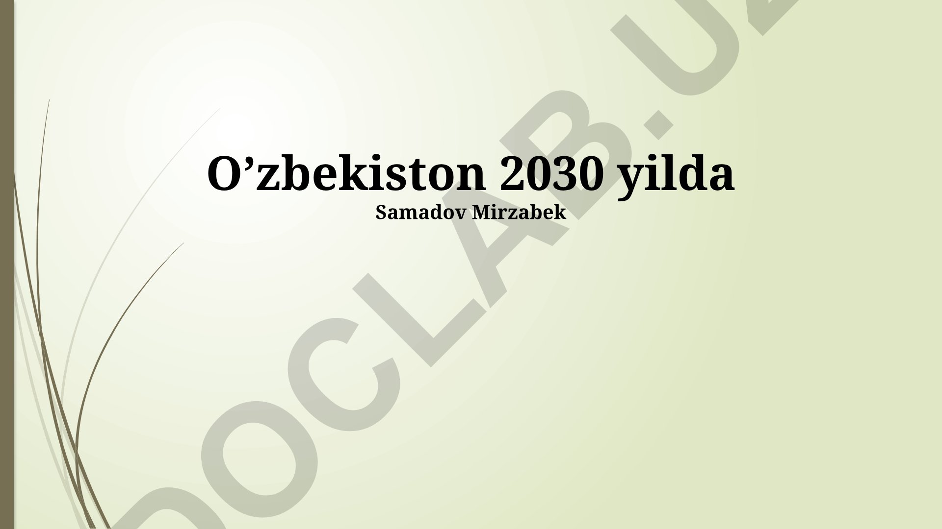 O'zbekiston 2030: Iqtisodiy o'sish, raqamli transformatsiya va ekologik barqarorlik