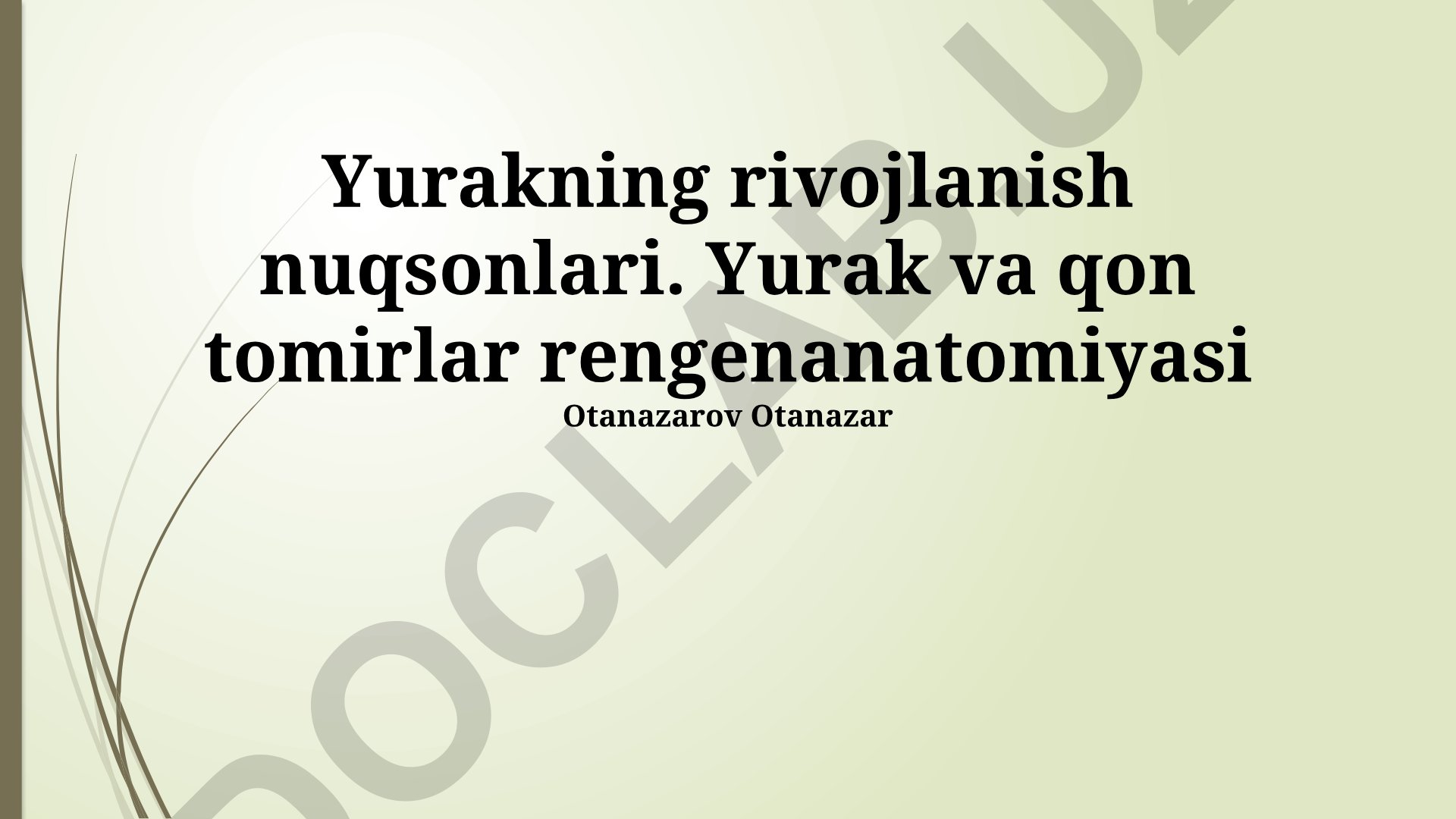 Yurakning rivojlanish nuqsonlari va yurak-qon tomirlar rentgenanatomiyasi