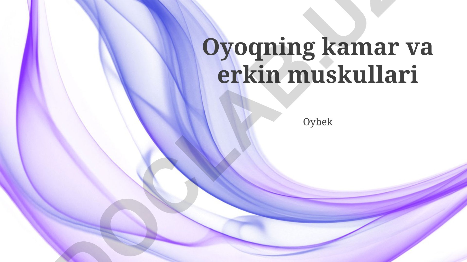 Oyoq mushaklari anatomiyasi va jarohatlari