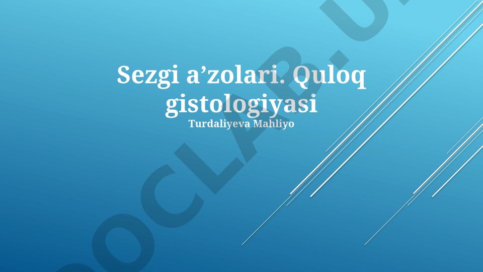 Quloqning gistologik tuzilishi va kasalliklari