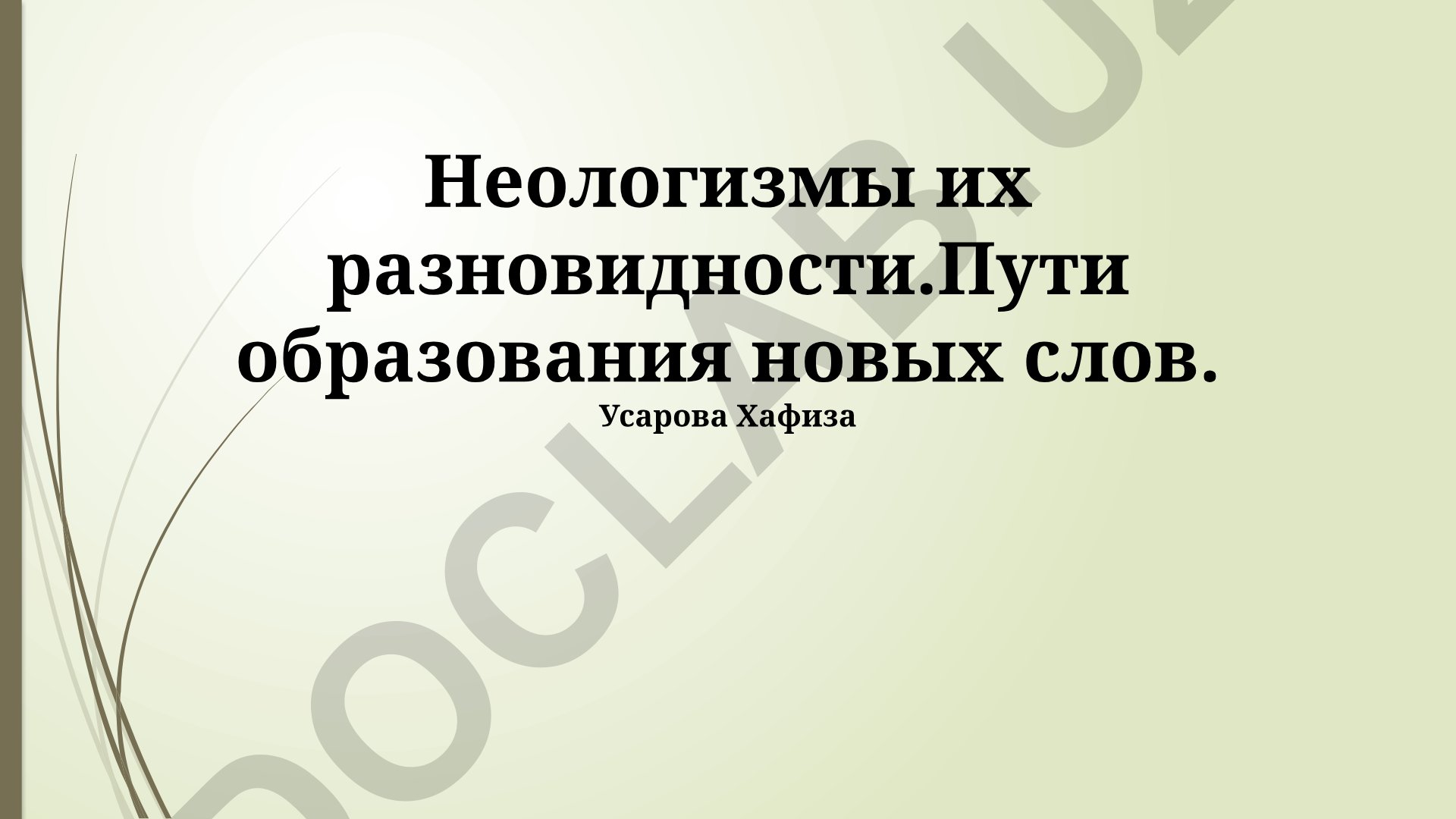 Неологизмы их разновидности и пути образования новых слов