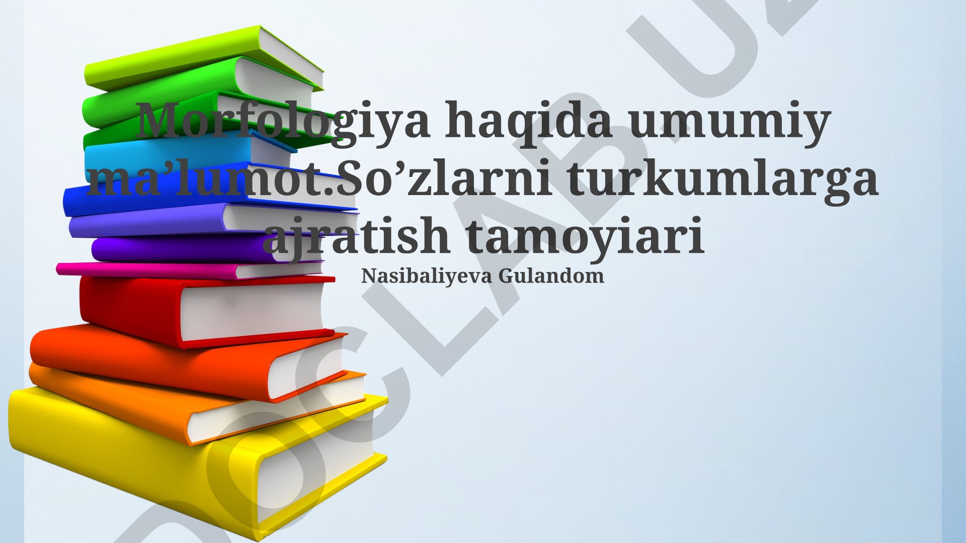 Morfologiya va so'z turkumlari haqida umumiy ma'lumot