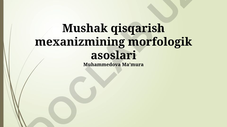 Mushak qisqarish mexanizmining morfologik asoslari