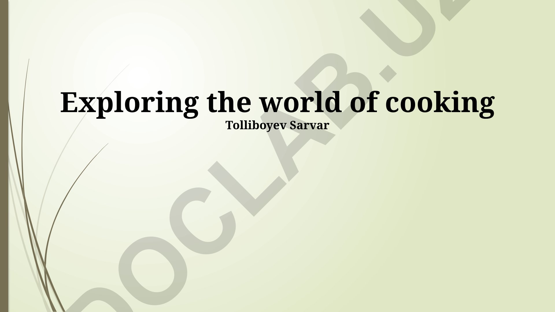 Exploring the world of cooking