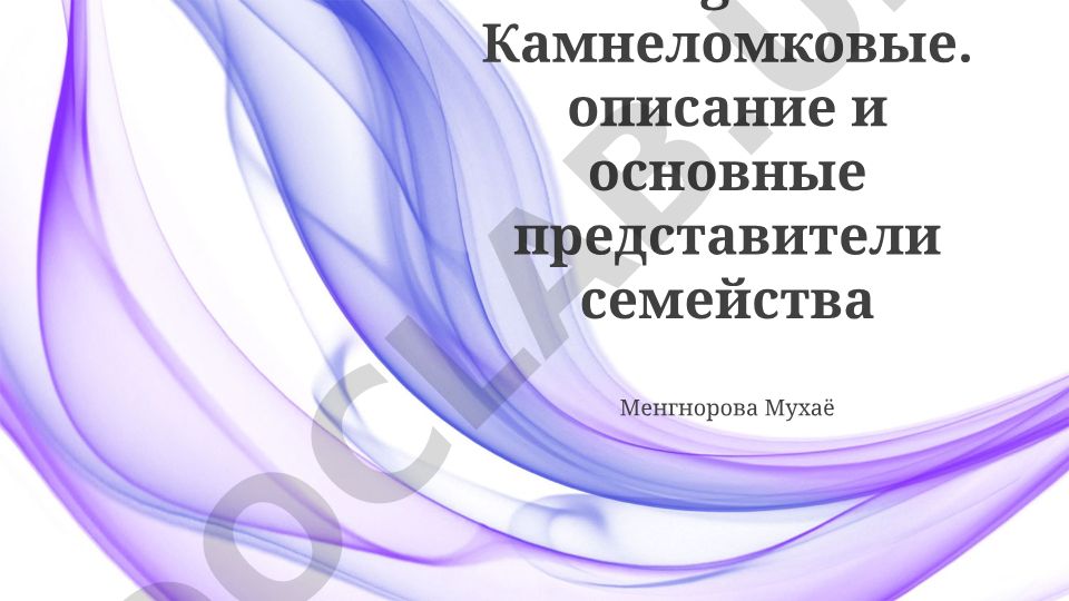 Семейство Камнеломковые (Saxifragaceae): описание и основные представители