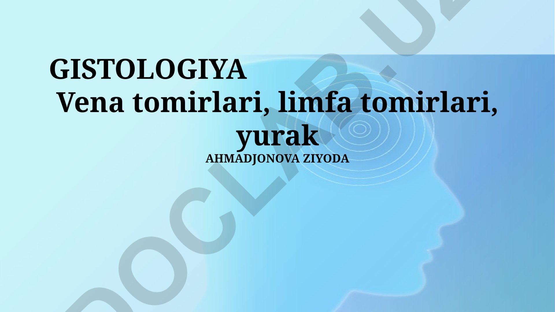 Gistologiya: Vena tomirlari, limfa tomirlari, yurak