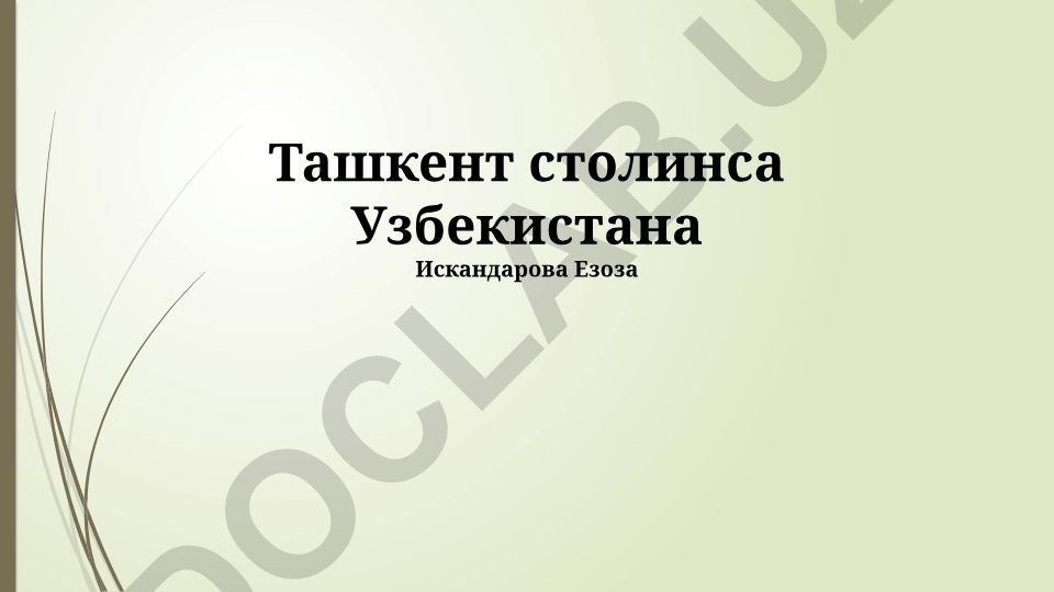 Ташкент: история, культура и современное развитие