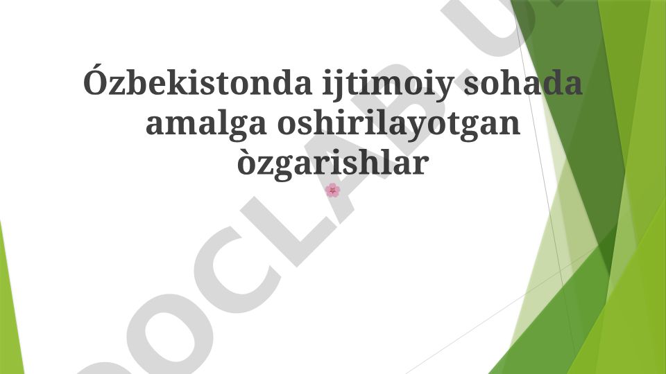 O'zbekistonda ijtimoiy sohada amalga oshirilayotgan o'zgarishlar