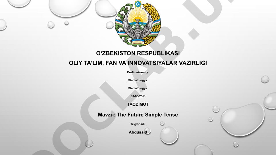 The Future Simple Tense