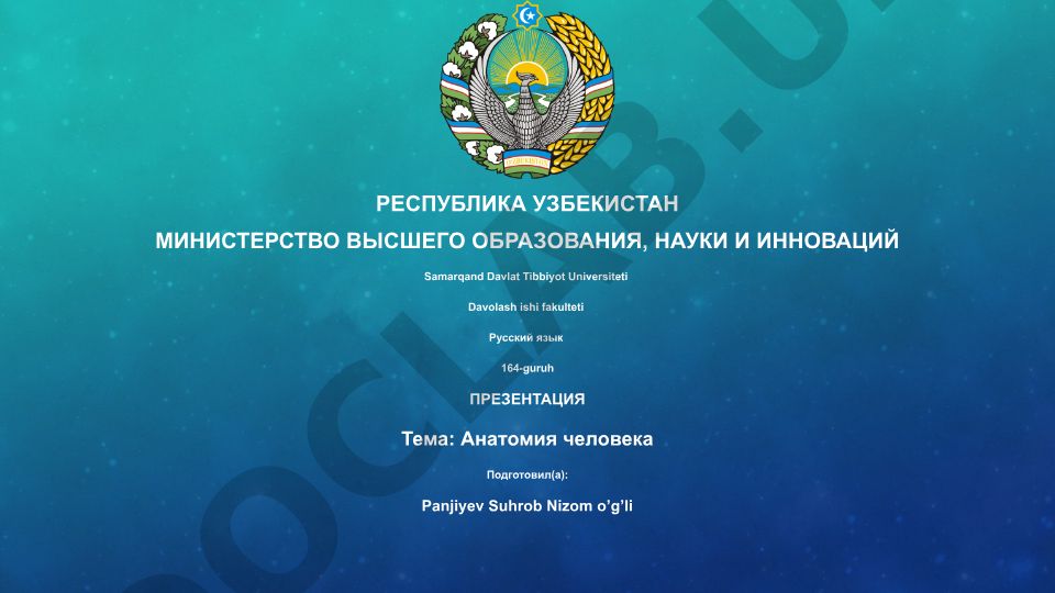 Анатомия человека